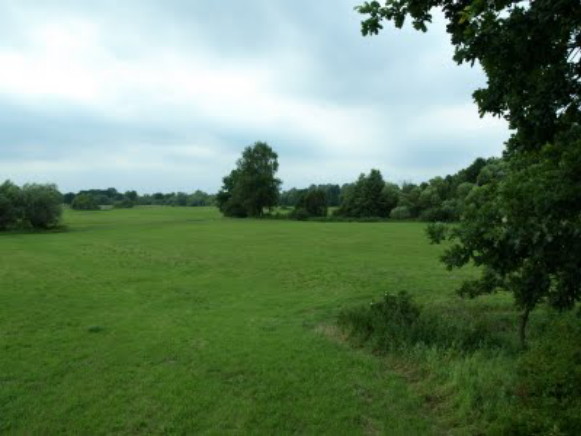 Image - A typical landscape in the Buh Depression.